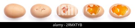 Step of the broken Chicken egg isolated on white background Stock Photo