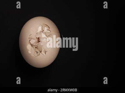 Cracked chicken egg isolated on black background Stock Photo