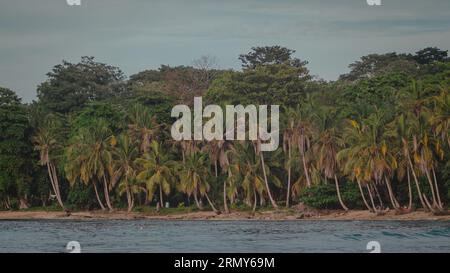 Beautiful jungle caribbean beach with nice surf close to Playa Cocles and Puerto Viejo in Costa rica. View towards the trees. hazy sea and spray. Stock Photo