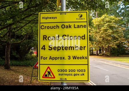 Addlestone, Surrey, UK. 30th August, 2023. The Crouch Oak (pictured) in Addlestone, Surrey has had a number of the heavy branches propped up. Roadworks next to the ancient tree in Crouch Oak Lane, are to commence for approximately three weeks from 4th September with a view to bolstering the tree. The huge oak tree is almost 1,000 years old and has been nominated as the tree of the year by the Woodland Trust. The magnificent oak tree once marked the boundary of Windsor Forest and it is said that Queen Elizabeth I used to picnic underneath it. Part of the tree trunk was damaged on Christmas Nigh Stock Photo