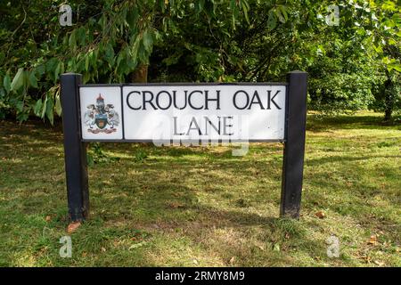 Addlestone, Surrey, UK. 30th August, 2023. The Crouch Oak (pictured) in Addlestone, Surrey has had a number of the heavy branches propped up. Roadworks next to the ancient tree in Crouch Oak Lane, are to commence for approximately three weeks from 4th September with a view to bolstering the tree. The huge oak tree is almost 1,000 years old and has been nominated as the tree of the year by the Woodland Trust. The magnificent oak tree once marked the boundary of Windsor Forest and it is said that Queen Elizabeth I used to picnic underneath it. Part of the tree trunk was damaged on Christmas Nigh Stock Photo