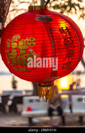 The setting sun shines through thin material of the lantern,from across the Mekong river,hanging from a tree,to be lit up after dark. Stock Photo
