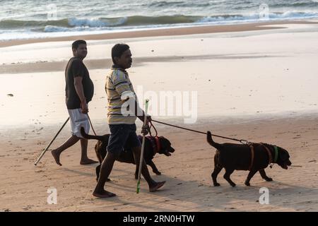 Calangute, Goa, India - January 2023: Two Indian men walking their pet dogs on the beach. Stock Photo