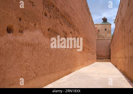 Morocco: White storks (Ciconia ciconia) in the ruins of El Badi Palace (Badia Palace), Kasbah District, Medina of Marrakesh, Marrakesh.  El Badi Palace (Palace of Wonder, also 'Incomparable Palace') was commissioned by Sultan Ahmad al-Mansur of the Saadian Dynasty in 1578, with construction continuing throughout his reign. The palace, decorated with materials imported from numerous countries ranging from Italy to Mali, was used for receptions and designed to showcase the Sultan's wealth and power. It was one part of a larger Saadian palace complex occupying the Kasbah district of Marrakesh. Stock Photo