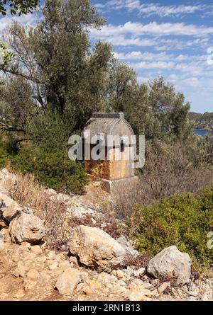 Close up of an ancient stone Simena sarcophagi  (Lycian tomb) in the Upper hillside Lycian Necropolis, Simena, Turkey Stock Photo