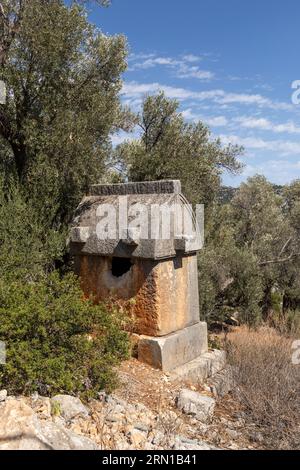 Close up of an ancient stone Simena sarcophagi  (Lycian tomb) in the Upper hillside Lycian Necropolis, Simena, Turkey Stock Photo