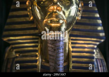 AKTUELLES ZEITGESCHEHEN Ägypten - PK zur beschädigten Totenmaske von Pharao Tutanchamun (150124) -- CAIRO, Jan. 24, 2015 -- Photo taken on Jan. 24, 2015 shows the glued part on the Tutankhamun mask connecting the beard and the mask in the Egyptian Museum, Cairo, Egypt, on Jan. 24, 2015. Egyptian Ministry of Antiquities held a press conference on Saturday as a response to recent news on the damage and restoring of the burial mask of Egyptian Pharaoh Tutankhamun.) EGYPT-CAIRO-MUSEUM-TUTANKHAMUM-MASK-PRESS CONFERENCE CuixXinyu PUBLICATIONxNOTxINxCHN   News Current events Egypt press conference to Stock Photo