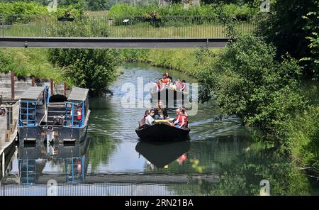 Boat trip in the biosphere reserve “Marais Audomarois” in Saint Omer (northern France), in the Caps et Marais d'Opale Regional Nature Park. Group of c Stock Photo