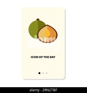 Delicious macadamia nuts for healthy diet flat vector icon Stock Vector