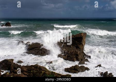 New Zealand, South Island, West Coast, Cape Foulwind, seal colony at Tauranga Bay Stock Photo