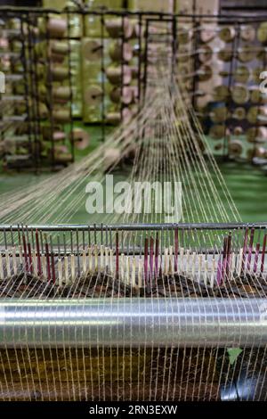 France, Seine Maritime, Luneray, Flax and artistic fiber festival, Le ...