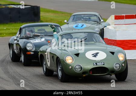 Aston Martin DP214 8 Le Mans 1963 (McLaren - Ireland