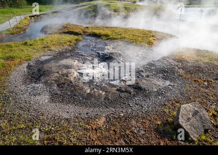 Geothermal Utu geyser source of the Secret Lagoon hot spring pool near Fludir, Iceland Stock Photo