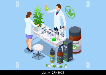 Isometric testing cannabis buds for the extraction of medicinal oil. Herbal alternative medicine, cbd oil, pharmaceptical industry Cbd hemp oil Stock Vector