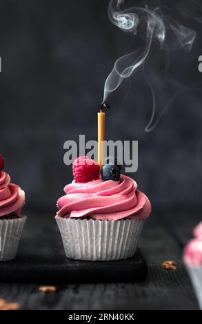 Chocolate cupcakes with pink frosting and berries. One main cupcake has a birthday candle that has been blown out and there is smoke coming off it. Stock Photo