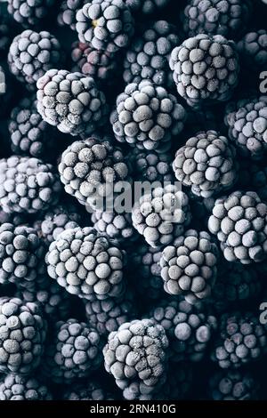 Frozen blackberries closeup macro image from top view. Many berries completely covering full image. Frost visible on each berry. Stock Photo