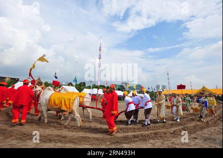 (150513) -- BANGKOK, May 13, 2015 -- Oxen are guided by royal attendants during the Royal Ploughing ceremony in Bangkok, Thailand, May 13, 2015. The ancient ceremony is held every year in Thailand to mark the traditional beginning of the rice growing season. ) THAILAND-BANGKOK-ROYAL PLOUGHING CEREMONY RachenxSageamsak PUBLICATIONxNOTxINxCHN   150513 Bangkok May 13 2015 oxen are Guided by Royal Attendants during The Royal plowing Ceremony in Bangkok Thai country May 13 2015 The Ancient Ceremony IS Hero Every Year in Thai country to Mark The Traditional BEGINNING of The Rice Growing Season Thai Stock Photo