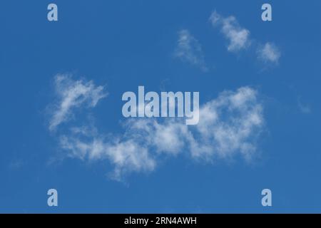 Clouds forming a scorpion figure with the blue sky in the background. Alcoy, Spain Stock Photo