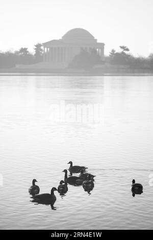 WASHINGTON DC, United States — A black and white photograph of the Jefferson Memorial. The Jefferson Memorial stands as an iconic tribute to the third U.S. President, Thomas Jefferson. Overlooking the Tidal Basin, this neoclassical monument is a testament to Jefferson's contributions to the founding principles of the nation. Stock Photo