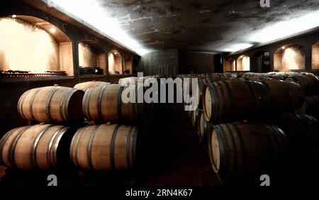 (150523) -- BEIJING, May 23, 2015 -- Image taken on Jan. 6, 2011 shows wine barrels in the cellar of Vina Indomita, Casablanca commune, Chile. Chile is one of the most important countries in the world wine industry. Chinese Premier Li Keqiang started on May 18 his South American trip including Brazil, Colombia, Peru and Chile. ) (dzl) CHILE-FILE PHOTOS-CHINESE PREMIER-VISIT JORGExVILLEGAS PUBLICATIONxNOTxINxCHN   150523 Beijing May 23 2015 Image Taken ON Jan 6 2011 Shows Wine Barrels in The cellar of Vina Indomita Casablanca Commune Chile Chile IS One of The Most IMPORTANT Countries in The Wor Stock Photo