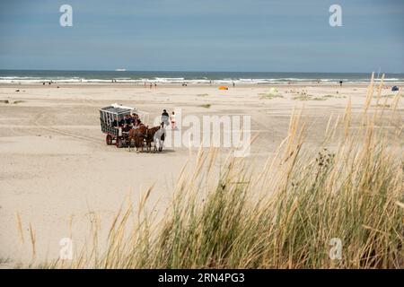 Horse-drawn carriage on the beach of Horn on the North Sea island of Terschelling Stock Photo