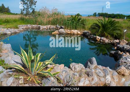 Kuniavitis Thermal Baths, Cosmetic Springs, Kouniaviti, Kamena Vourla, Phthiotis, Central Greece, Greece Stock Photo