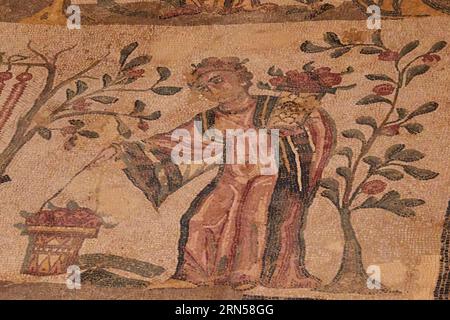 Gardener, Roman Mosaics, Villa Romana del Casale, UNESCO World Heritage Site, Piazza Armerina, Enna Province, Sicily, Italy Stock Photo