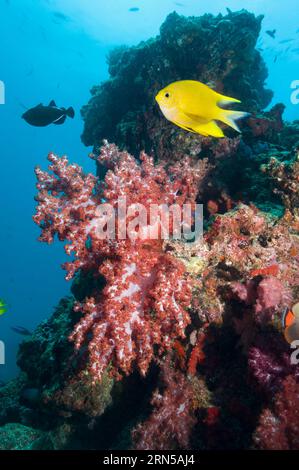 Gallery image with a fresh perspective