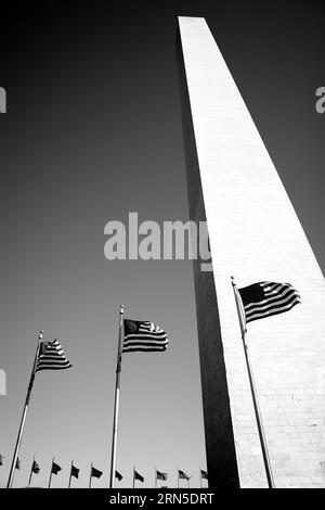 WASHINGTON, DC — Black and white photograph of the Washington Monument in Washington DC. Towering 554 feet above the National Mall in Washington DC, the Washington Monument commemorates George Washington, the first president of the United States. After a decades-long construction project, it was completed in 1884. It was shaped as an Egyptian-style obelisk, and its thick marble walls encase an elevator and long spiral staircase that provides access to small chambers at the top. Fifty American flags ring its base. Stock Photo