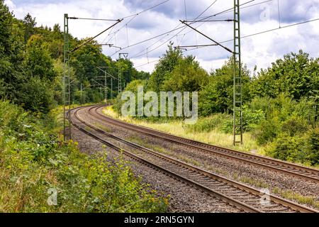 Two tracks of an railroad line for public transport through green nature next to bushes and trees through rural Bavaria, Germany Stock Photo