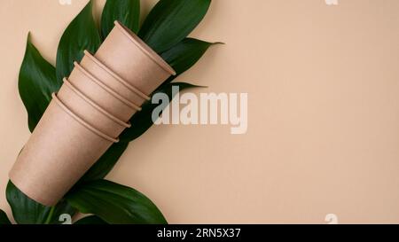 Eco friendly brown cups leaves Stock Photo