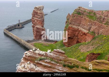 Red red sandstone cliff edge and vertical rock The Lange Anna on the high seas island of Helgoland, Helgoland, Pinneberg district Stock Photo