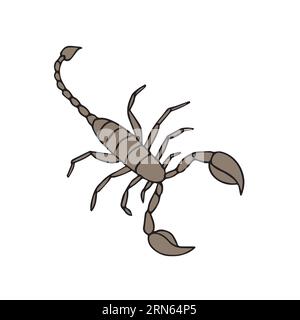 Vector hand drawn doodle sketch colored scorpio isolated on white background Stock Vector