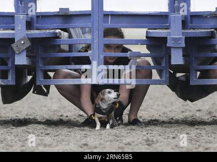 VANCOUVER, A dog owner standbys with her dog at the starting gate during the Wiener dog races at Hastings Racecourse in Vancouver , Canada, July 11, 2015. Seventy-two Wiener dogs participated in the 7th annual Wiener dog races here on Saturday.) (lrz) CANADA-VANCOUVER-DOG RACING Liangxsen PUBLICATIONxNOTxINxCHN   Vancouver a Dog Owner  With her Dog AT The Star Gate during The Wiener Dog Races AT Hastings Racecourse in Vancouver Canada July 11 2015 Seventy Two Wiener Dogs participated in The 7th Annual Wiener Dog Races Here ON Saturday lrz Canada Vancouver Dog Racing LiangxSen PUBLICATIONxNOTxI Stock Photo