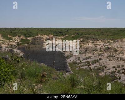 A Niobara Chalk geological formation in Little Jerusalem Badlands State Park in Kansas with yucca in the foreground. Stock Photo