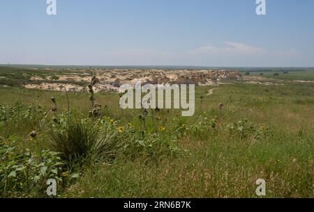 Kansas' Little Jerusalem Badlands State Park in the background with a field with yucca and sunflowers in the foreground. Stock Photo