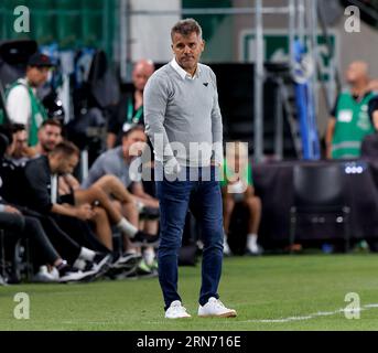 Budapest, Hungary. 31st August, 2023. Csaba Mate, head coach of Ferencvarosi TC looks on during the UEFA Europa Conference League Play Off Round Second Leg match between Ferencvarosi TC and FK Zalgiris Vilnius at Groupama Arena on August 31, 2023 in Budapest, Hungary. Credit: Laszlo Szirtesi/Alamy Live News Stock Photo