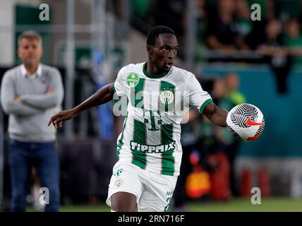 BUDAPEST, HUNGARY - AUGUST 9: Franck Boli of Ferencvarosi TC in action  during the UEFA Champions League Qualifying Round match between Ferencvarosi  TC and Qarabag FK at Ferencvaros Stadium on August 9