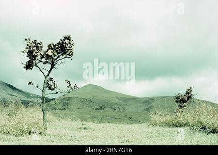 Stunning landscape in Fukuoka region of Japan Stock Photo