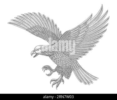 The Art House Eagle Pencil Drawing Print-469 : Amazon.in: Home & Kitchen