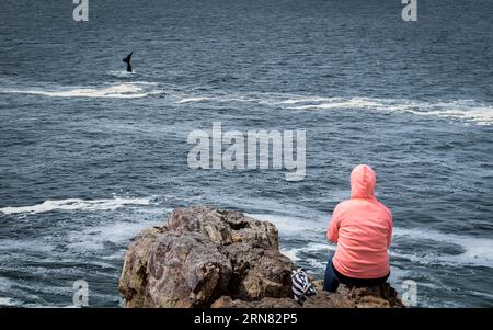 (151002) -- HERMANUS (SOUTH AFRICA), Oct. 2, 2015 -- A visitor looks at a southern right whale during the Hermanus Whale Festival in Hermanus, South Africa, on Oct. 2, 2015. The annual Hermanus Whale Festival kicked off here Friday, celebrating the returning of the southern right whales to this bay during the calving and mating season. More than 100,000 visitors are expected to come to Hermanus, which is known as the best land-based whale watching destination in the world. ) SOUTH AFRICA-HERMANUS-WHALE FESTIVAL ZhaixJianlan PUBLICATIONxNOTxINxCHN   Hermanus South Africa OCT 2 2015 a Visitor Lo Stock Photo