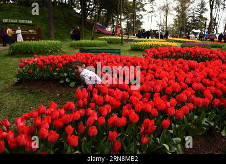 (151029) -- ISTANBUL,  - Photo taken on April 14, 2015 shows a girl posing for photos near red tulips at Emirgan park in Istanbul, Turkey. Turkey observed Republic Day on Oct. 29. ) TURKEY-ISTANBUL-REPUBLIC DAY-RED HexCanling PUBLICATIONxNOTxINxCHN   Istanbul Photo Taken ON April 14 2015 Shows a Girl Posing for Photos Near Red TULIPS AT Emirgan Park in Istanbul Turkey Turkey observed Republic Day ON OCT 29 Turkey Istanbul Republic Day Red HexCanling PUBLICATIONxNOTxINxCHN Stock Photo