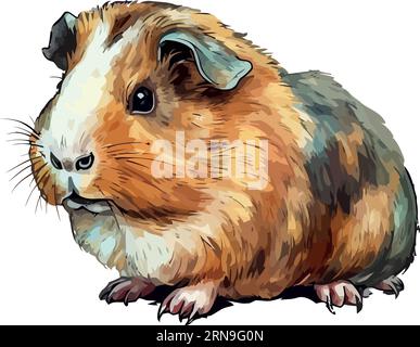 Cute guinea pig sitting on white background Stock Vector