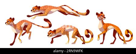 Set of cheetah, leopard or jaguar. Wild cat from tropical jungle in Africa. Jumping, running and walking gepard, exotic animal with spotted fur, vecto Stock Vector