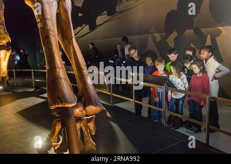 (160114) -- NEW YORK, Jan. 14, 2016 -- School children look at the Titanosaur skeleton exibition in the American Museum of Natural History in New York, the United States, Jan. 14, 2016. Starting from Jan. 15, the American Museum of Natural History will add another must-see exhibit -- a cast of a 122 foot (37.2m) dinosaur. The dinosaur has not yet been formally named by scientists who discovered it, but was inferred by paleontologists that it was a giant herbivore that belongs to a group known as titanosaurs weighing as much as 70 tons. The cast is based on 84 fossil bones that were excavated i Stock Photo