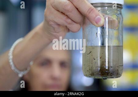 (160130) -- SAN JOSE, Jan. 30, 2016 -- A doctor holds container of the Aedes aegypti mosquito larvae, the carrier of Zika virus, in a laboratory of the Ministry of Health, in San Jose, Costa Rica, on Jan. 29, 2016. The World Health Organization (WHO) on Thursday said it would convene an International Health Regulations emergency committee on the Zika virus to ascertain whether the outbreak constitutes a public health emergency of international concern. Kent Gilbert) (jp) (sp) COSTA RICA-SAN JOSE-HEALTH-ZIKA e KENTxGILBERT PUBLICATIONxNOTxINxCHN   San Jose Jan 30 2016 a Doctor holds Container o Stock Photo