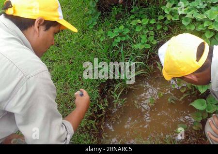 (160205) -- MISIONES, Feb. 5, 2016 -- Sanitary technicians take samples of larvae of the Aedes aegypti mosquito, that transmit the Zika, Dengue and Chikungunya virus, in a superficial pond of water sewage in the backyard of a house in the province of Misiones, Argentina, on Feb. 4, 2016. Health ministers of 13 Latin American nations agreed on Wednesday in Montevideo to promote the cooperation to stop the advance of the Zika virus in the region. TELAM) (rtg) ARGENTINA-MISIONES-HEALTH-ZIKA e TELAM PUBLICATIONxNOTxINxCHN   Misiones Feb 5 2016 Sanitary Technicians Take samples of larvae of The Aed Stock Photo