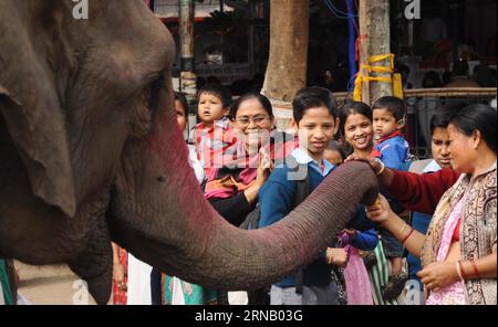 (160212) -- GUWAHATI, Feb. 12, 2016 -- Devotees offer prayers to an elephant at a temple of Lord Ganesha, an elephant-headed god widely worshiped by Hindus, in Guwahati, capital of India s northeastern state of Assam, Feb. 12, 2016. ) INDIA-GUWAHATI-LORD GANESHA-DEVOTEE Stringer PUBLICATIONxNOTxINxCHN   160212 Guwahati Feb 12 2016 devotees OFFER Prayers to to Elephant AT a Temple of Lord Ganesha to Elephant Headed God widely worshiped by Hindus in Guwahati Capital of India S Northeastern State of Assam Feb 12 2016 India Guwahati Lord Ganesha devotee Stringer PUBLICATIONxNOTxINxCHN Stock Photo