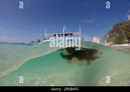 (160218) -- PALAWAN PROVINCE, Feb. 18, 2016 -- A vacationer swims in the sea in Palawan Province, the Philippines, Feb. 18, 2016. Tourism revenues are expected to reach 6.5 billion U.S. dollars from the arrivals of six million foreign visitors in 2016 according to the Philippine Department of Tourism. ) PHILIPPINES-PALAWAN PROVINCE-TOURISM RouellexUmali PUBLICATIONxNOTxINxCHN   Palawan Province Feb 18 2016 a vacationer swim in The Sea in Palawan Province The Philippines Feb 18 2016 Tourism revenues are expected to Reach 6 5 Billion U S Dollars from The Arrivals of Six Million Foreign Visitors Stock Photo