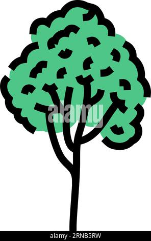 rubber tree jungle amazon color icon vector illustration Stock Vector ...